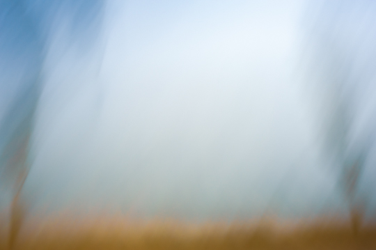 pinhole_landscapes_I 14