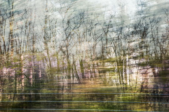 waldimpressionen_I 10